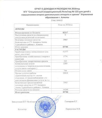 Годовой отчет о доходах и расходах за  2016  год