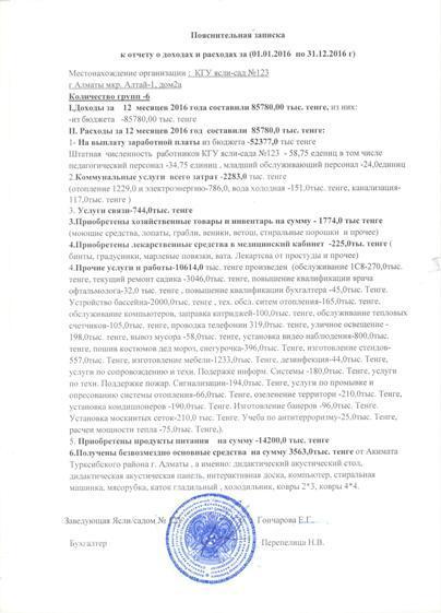  Годовой отчет о доходах и расходах за  2016  год