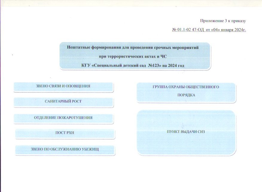 Нештатное формирование для проведения срочных мероприятий при террористических актах и ЧС